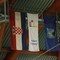 Regionalno Prvenstvo Hrvatske za ml. kadete i početnike
